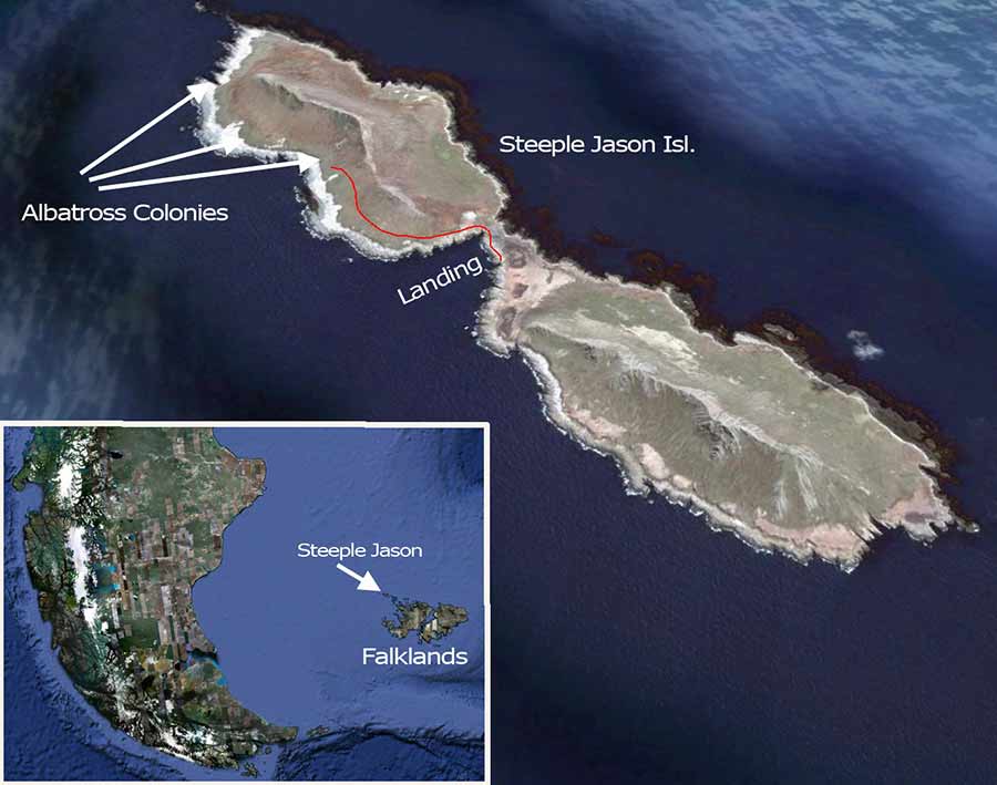 Steeple-Jason-map-Falkland-islans