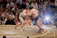 flash photo allowed in sumo stadium