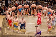 sumo presentation of the finalists