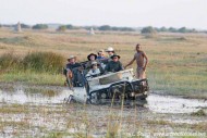 car bogged duba palins