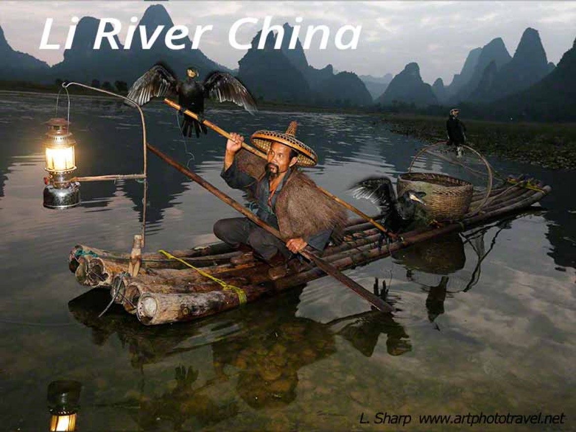 cormorant fisherman li river xingping china