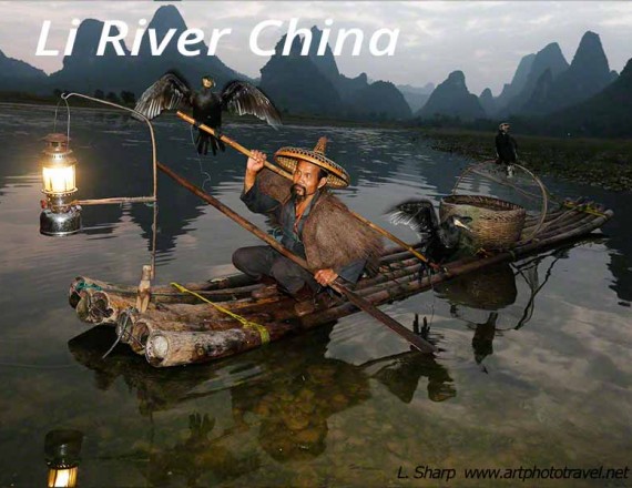 cormorant fisherman li river xingping china