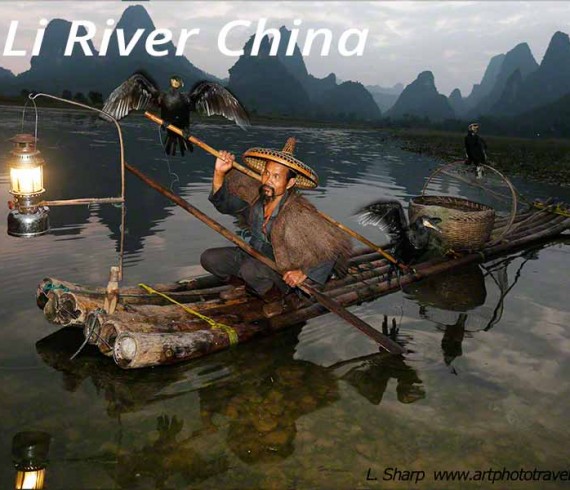 cormorant fisherman li river xingping china