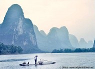 cormorant fishing on Li river near Xingping China