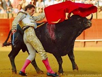  Bullfight in Seville