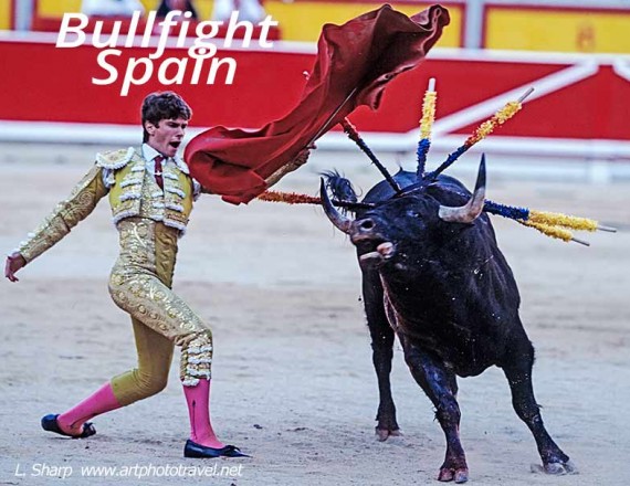 bullfight spain
