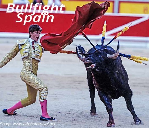 bullfight spain