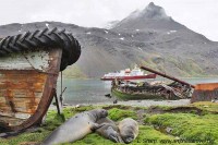 Symbols of Grytkevin South Georgia island