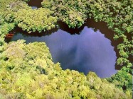 fig 2. Aerial view Jellyfish Lake.(from "The Living Edens" TV series)