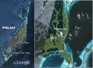jellyfishlake location map palau google map