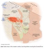 Wildebeest migration map june 2013 www.expertafrica.com
