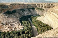 An Oasis village algerian sand seas