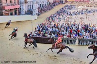  Palio 3rd trial at the San Martino bend