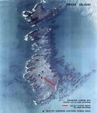 Prion island map. south georgia island
