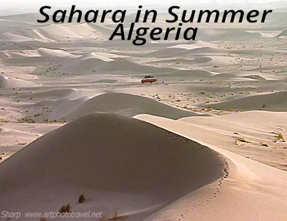 sahara in the summer algeria