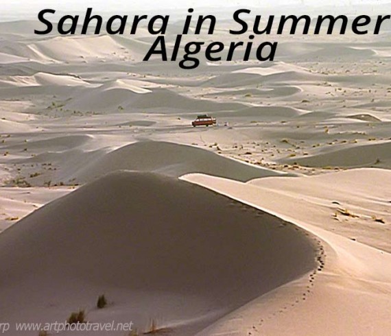 sahara in the summer algeria