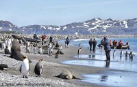 Salisbury Plains landing site. south georgia island