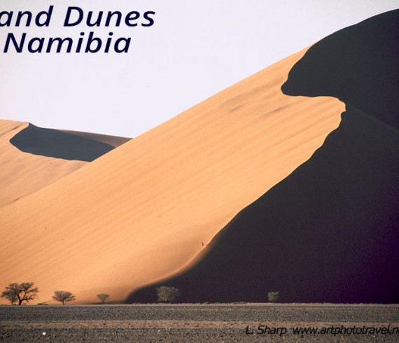 sand dunes sossusvlei namibia