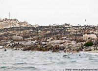  Seal Island, False Bay