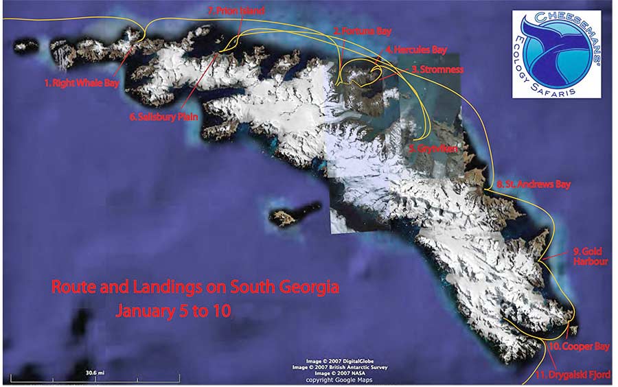 South Island Antarctica artphototravel