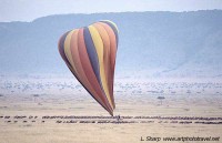 Hot air balloon over wildebeest migration maasai mara