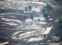 honghe rice terraces yunnan china