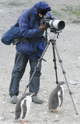 2006: South Georgia Antarctica