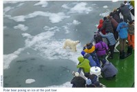 Ice Bear and ship. Courtesy Dr. John Reekie