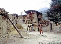 Farming village, central bhutan