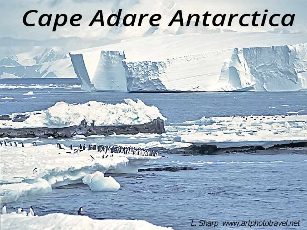 Cape Adare: penguins, iceflows & mountains.