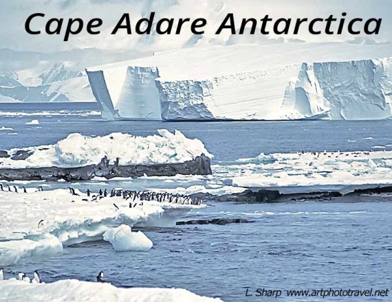 Cape Adare: penguins, iceflows & mountains.