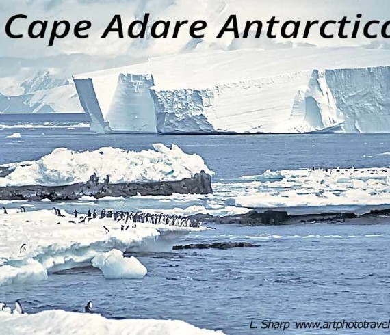 Cape Adare: penguins, iceflows & mountains.