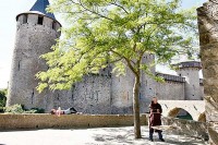 Castle of Carcassonne