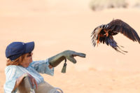 Dahlia and the eagle Dubai Dubai Conservation Reserve