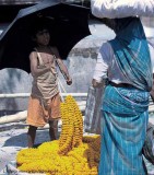 Selling flowers at the flower market kolkata india