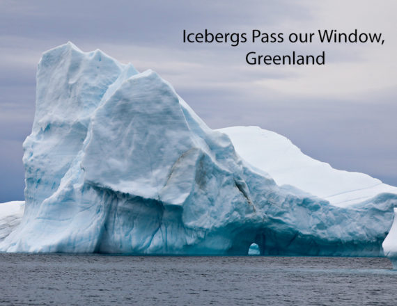 illulassat iceberg pass our window greenland