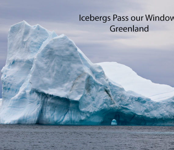 illulassat iceberg pass our window greenland