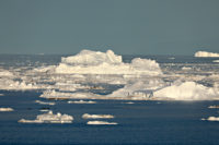 icebergs pass our window Ilulissat greenland