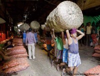 Carrying the produce, Kolay Markets kolkata india