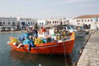 Mykonos fishing harbour