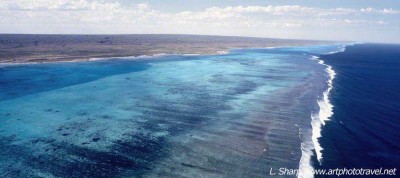 Ningaloo Reef view from spotter plane
