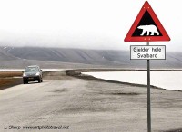 Polar Bear road sign Longyearbeyen