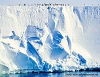 Penguins on the Ross Ice Shelf