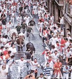 Running of the bulls pamlona (showing herders)