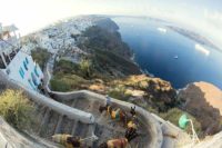 Fira donkey train Santorini