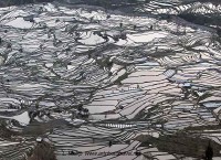 tiger mouth terraces at sunset yunan china